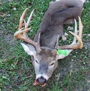 Meet your Posher, Adam